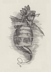 Ilustração para The Water-Babies de Charles Kingsley (gravura) de Edward Linley (after) Sambourne