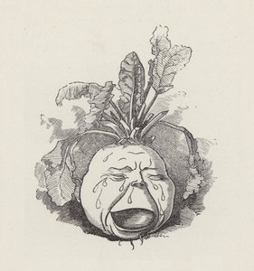 Ilustração para The Water-Babies de Charles Kingsley (gravura) de Edward Linley (after) Sambourne
