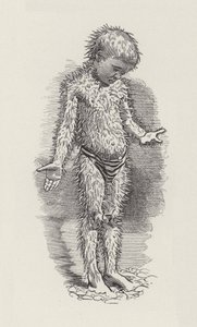 Ilustração para The Water-Babies de Charles Kingsley (gravura) de Edward Linley (after) Sambourne