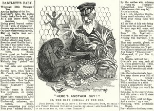 Soco cartoon: Abraham Dee Bartlett, superintendente do Zoo de Londres, e um gorila bebé (gravura) de Edward Linley (after) Sambourne
