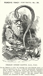 Soco cartoon: Charles Darwin, naturalista e biólogo inglês (gravura)