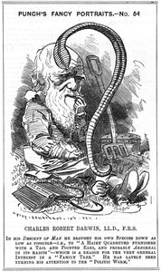 Charles Darwin (1809-1882) naturalista inglês. Evolução por Seleção Natural. Cartoon de Edward Linley Sambourne (1844-1910) na série Fancy Portrait em Punch, Londres 1881, ano em que Darwin publicou The Formation of Vegetable Mould through the action.