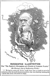 Charles Darwin, naturalista inglês, 1875