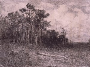 Paisagem, Cena de bosque de Edward Mitchell Bannister