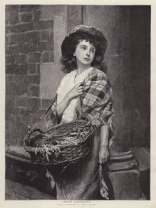Alfazema Doce (litho)