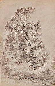 Paisagem com árvores de Edward Pretty
