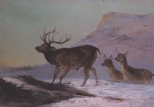 Inverno (pastel)