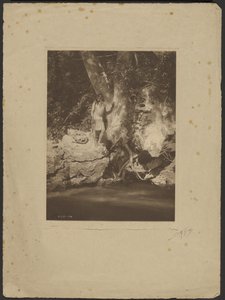 Rio Apache-Black (Junto ao Plátano) de Edward S. Curtis