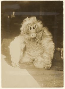 Na máscara de lobo de Edward S. Curtis