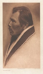 Portfólio IX, Placa 319: Tipo Snoqualmu