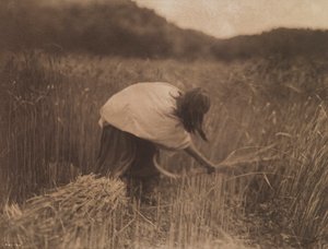 O ceifeiro apache de Edward S. Curtis