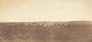 Acampamento de Dança do Sol - Piegan, 1900. de Edward Sheriff Curtis