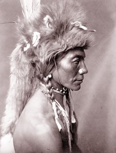 Rim Amarelo, Piegan de Edward Sheriff Curtis