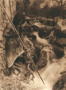 Jovem índio americano da tribo ou aldeia Hupa a pescar salmão com uma vara comprida. Usa uma pele de animal atada à volta dos lombos. Atrás dele, um bosque e um riacho de Edward Sheriff Curtis