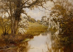 Where Spreading Hawthorns Gaily Bloom (óleo sobre tela)