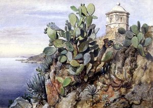Cactus Opuntia, Mónaco de Edward William Cooke