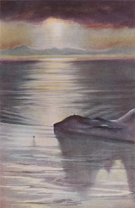 Ponto da cabana do monte da observação, 1911, 1913. de Charles Edward Wilson