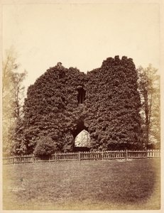 Vista de uma loucura em Roundhay Park (impressão de albume) de Edward Wormald