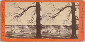 American Falls and Ice Mounds de Edward and Henry T. Anthony and Co.