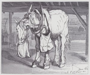 Um Cavalo de Carrinho de Edwin (after) Landseer