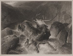 A Morte do Veado, gravada por John Cousen (1804-80)