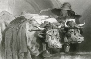 Bois no tanque, Genebra (gravura) de Edwin (after) Landseer