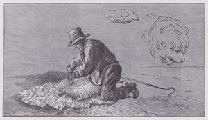 Ovinocultura de Edwin (after) Landseer