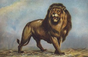 Estudo para leão em Trafalgar Square por Landseer, National Gallery, Londres (cor litho)