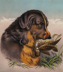 O Retriever (litografia a cores) de Edwin (after) Landseer