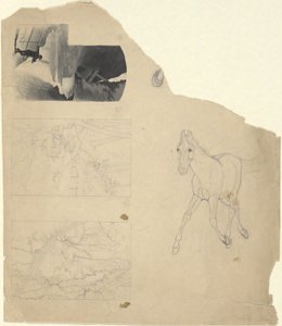 Folha de estudos, três de uma cascata, uma de um potro. de Edwin Austin Abbey