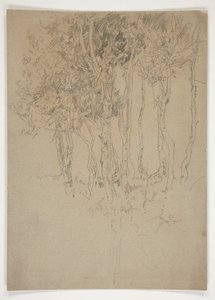 Esboço de um bosque de árvores de Edwin Austin Abbey