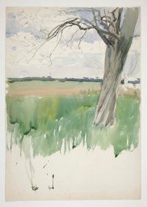 Estudo de um campo e de uma árvore de Edwin Austin Abbey