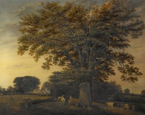 O carvalho de Binley, 1848 de Edwin Brown