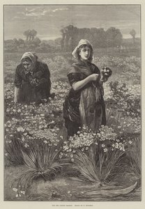 Para o Mercado de Londres (gravura) de Edwin Buckman