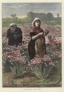 Para o mercado de Londres de Edwin Buckman