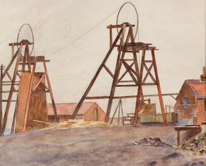 Rodas de fossa (aguarela sobre papel)