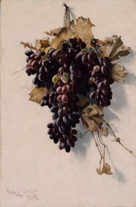 Natureza morta com uvas de Edwin Deakin