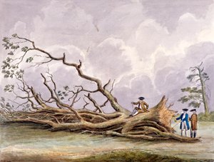 Árvores danificadas por uma tempestade de 15 de outubro, Roehampton, Londres, 1780