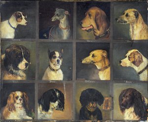 Doze Cães Favoritos, 1883