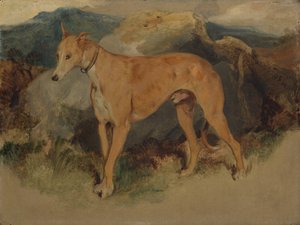 Um Deerhound, 1826. de Edwin Landseer