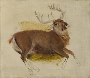 Morrendo Stag, ca. 1830 de Edwin Landseer