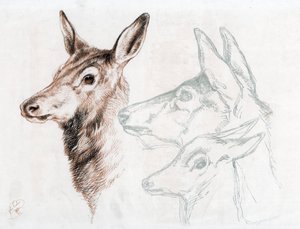 Fac-símile de um desenho de Sir E Landseer, 1874. de Edwin Landseer