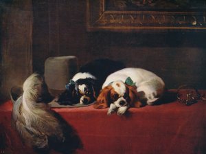 King Charles Spaniels Os Cavaliers Pets, 1845, c1915