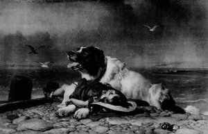 Salvo !, c1856, 1911 de Edwin Landseer