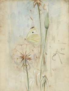 Borboleta e Cardo (aquarela)