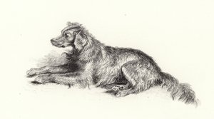 Um cão setter de Edwin Landseer