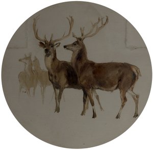 Cervos em uma paisagem (estudos de cervos) de Edwin Landseer