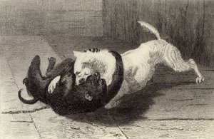 Exemplo X, cão lutando com macaco de Edwin Landseer