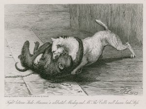 Luta entre Jacco Macacco, um célebre macaco, e a famosa cadela do Sr. Thomas Cubb, Puss de Edwin Landseer