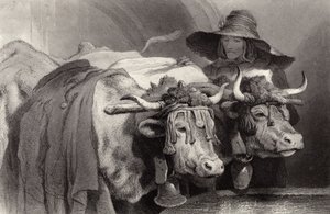 Bois, em, a, tanque, genebra, suíça de Edwin Landseer